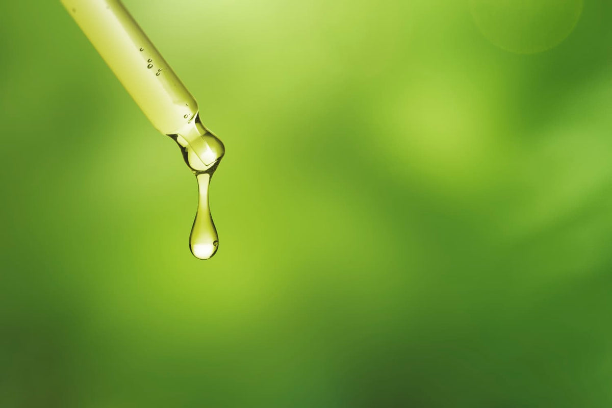 Gliserin Desteği (Glycerine) Nedir? Cilde Faydaları Nelerdir — Alix Avien blog görseli