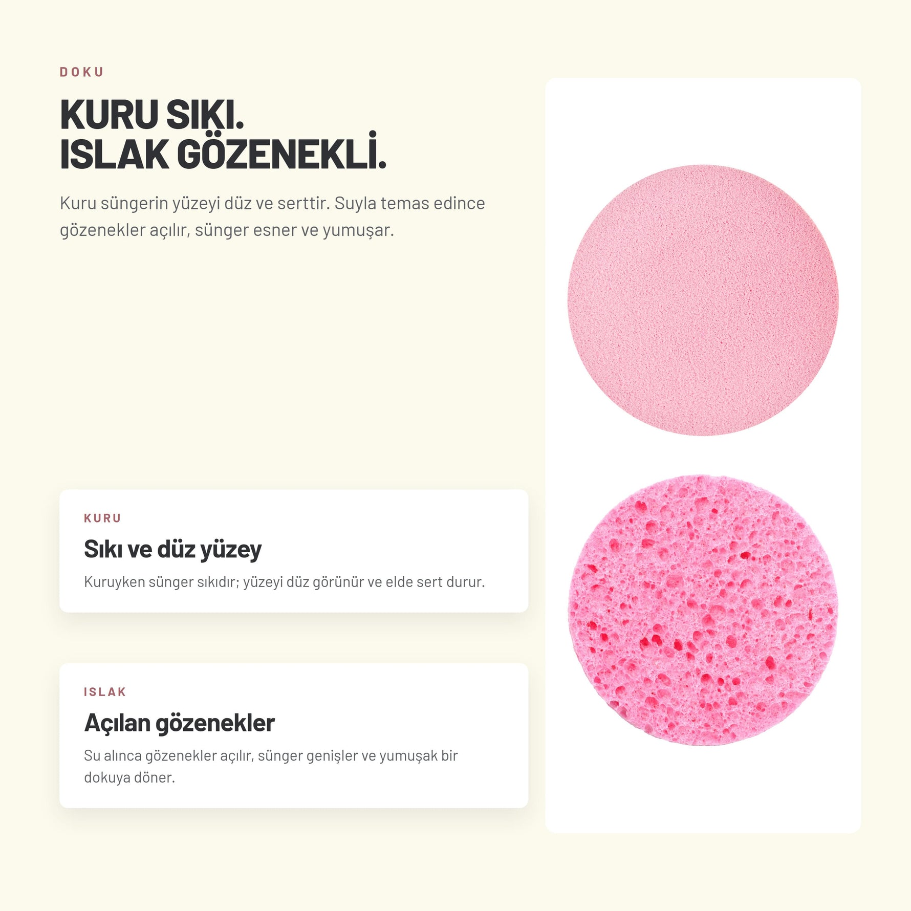 Makyaj Süngeri 10'lu Set - Ultra Yumuşak | Alix Avien